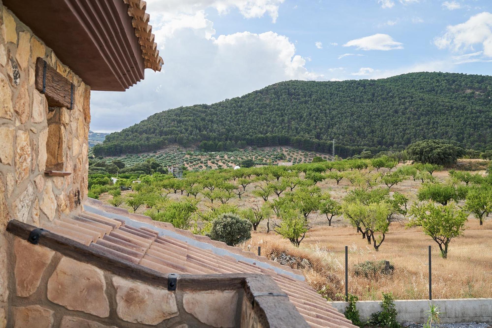 Villa Canela Illora Dış mekan fotoğraf