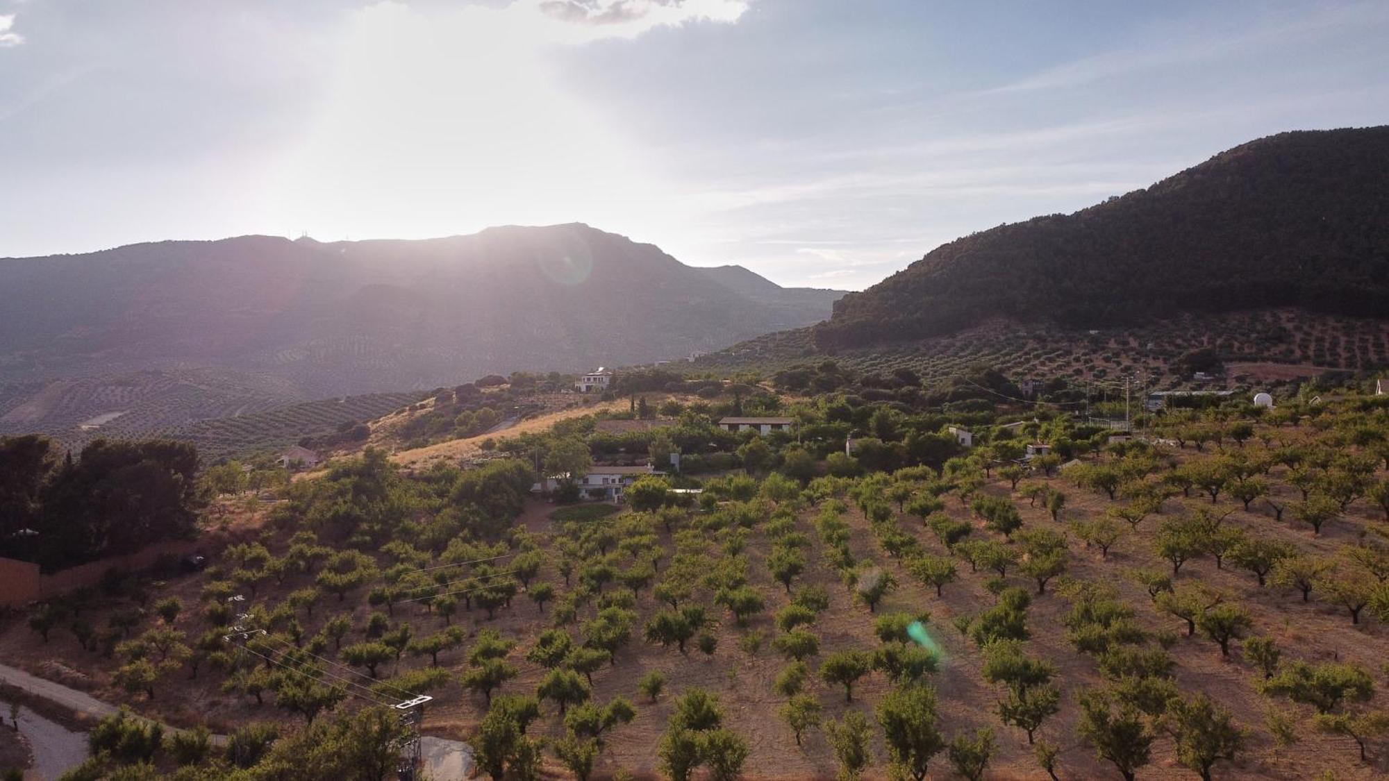 Villa Canela Illora Dış mekan fotoğraf